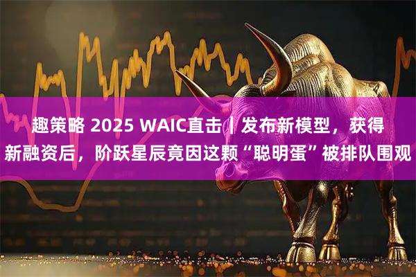 趣策略 2025 WAIC直击｜发布新模型，获得新融资后，阶跃星辰竟因这颗“聪明蛋”被排队围观